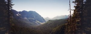 Mountain View Functional Medicine